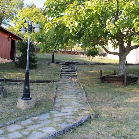 Dimitra'S Villas Elatohóri Kültér fotó