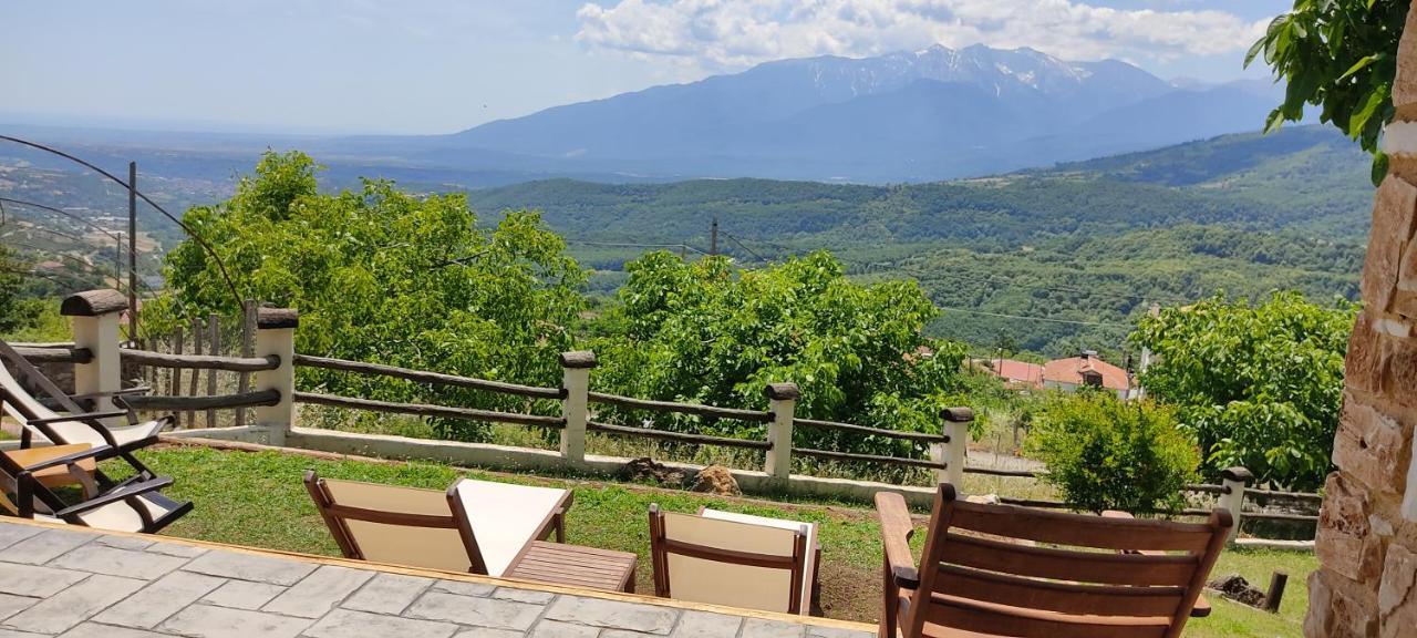 Dimitra'S Villas Elatohóri Kültér fotó