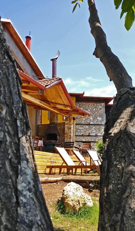 Dimitra'S Villas Elatohóri Kültér fotó