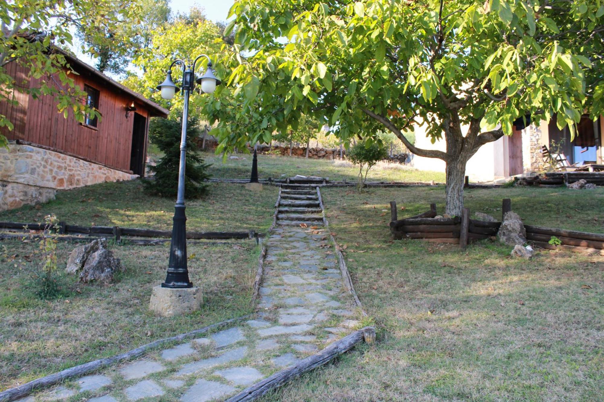 Dimitra'S Villas Elatohóri Kültér fotó